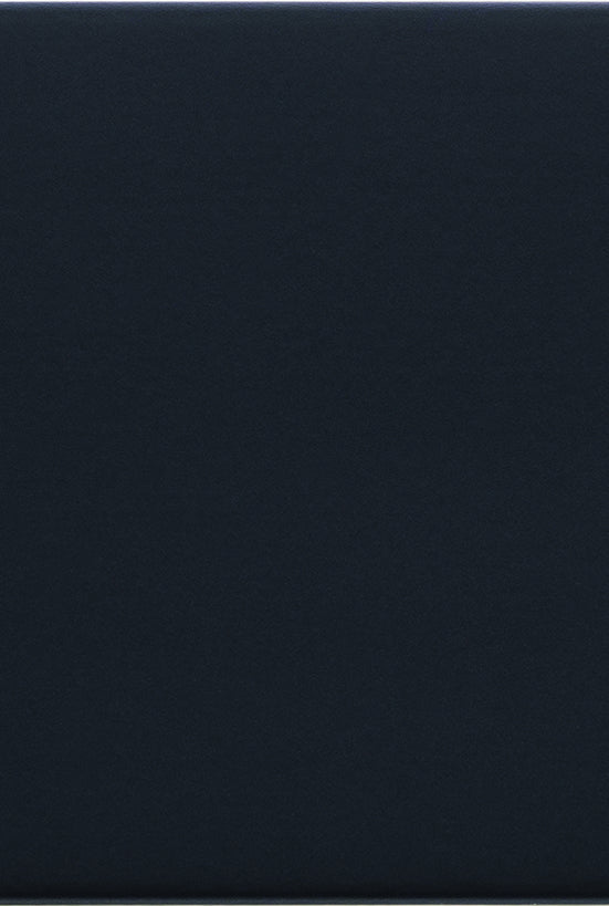 H-217 Black frame moulding